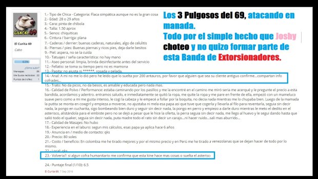 perro 3.jpg perro 3.jpg