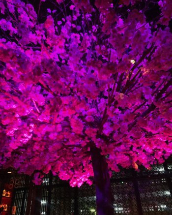 naidenfebrei - B66tHJmgc5P_B66tHGpgvAJ.jpg