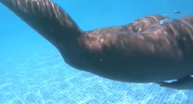 IMG_20200223_184157.jpg IMG_20200223_184157.jpg