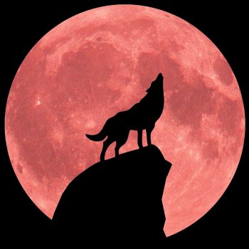 flat,1000x1000,075,f.u4.jpg flat,1000x1000,075,f.u4.jpg