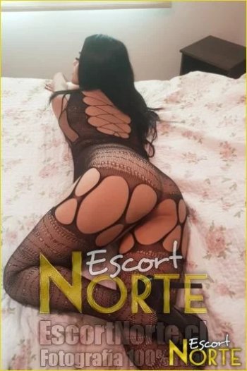 im_4627_0-1_SR0_342.jpg im_4627_0-1_SR0_342.jpg