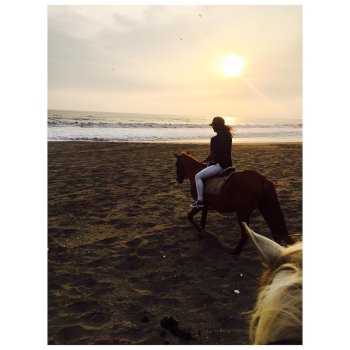 liz.andrade26 - BOsSTHCDqhG.jpg