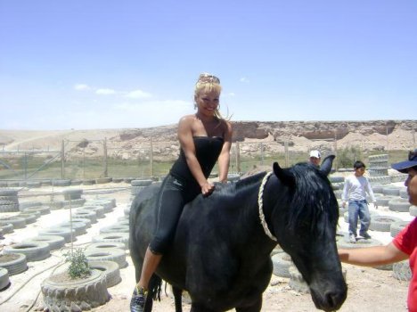 IMG-20200125-WA0002.jpg IMG-20200125-WA0002.jpg