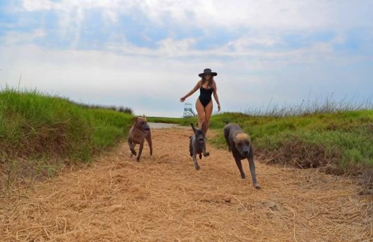 IMG_1516246276856.jpg IMG_1516246276856.jpg