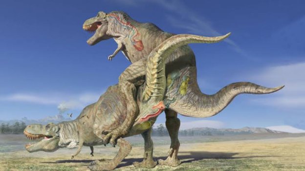 images - 2020-07-19T121031.602.jpeg