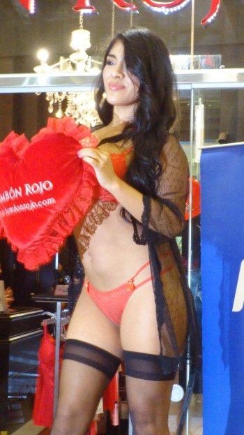 DSC02013.JPG DSC02013.JPG