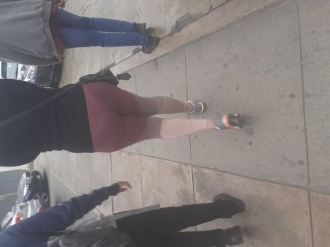 veneca leg mor sab (2).jpg