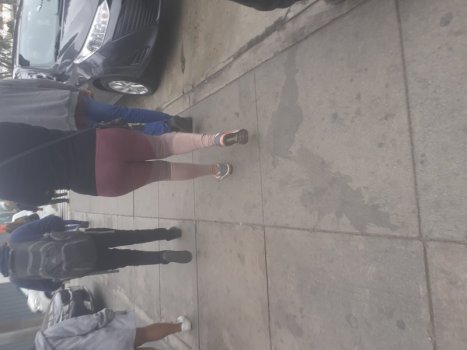 veneca leg mor sab (3).jpg