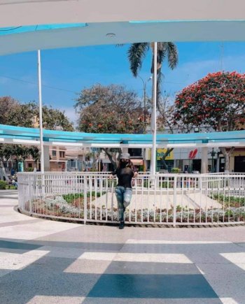 FB_IMG_1601322774828.jpg FB_IMG_1601322774828.jpg