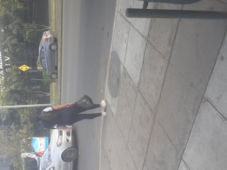 veneca 28 jul (2).jpg