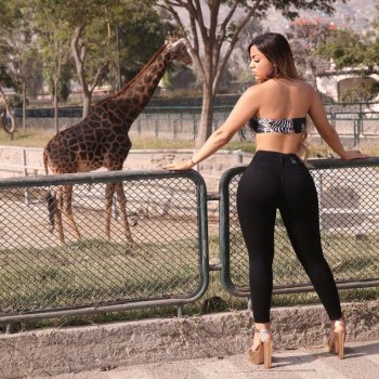 dolccipremium_20201111_6.jpg dolccipremium_20201111_6.jpg