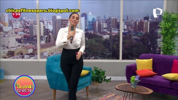 20201119_100823_[5.1  Panamericana HD]_[] 03 copia.jpg