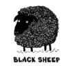 black sheep