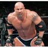 BillGoldberg